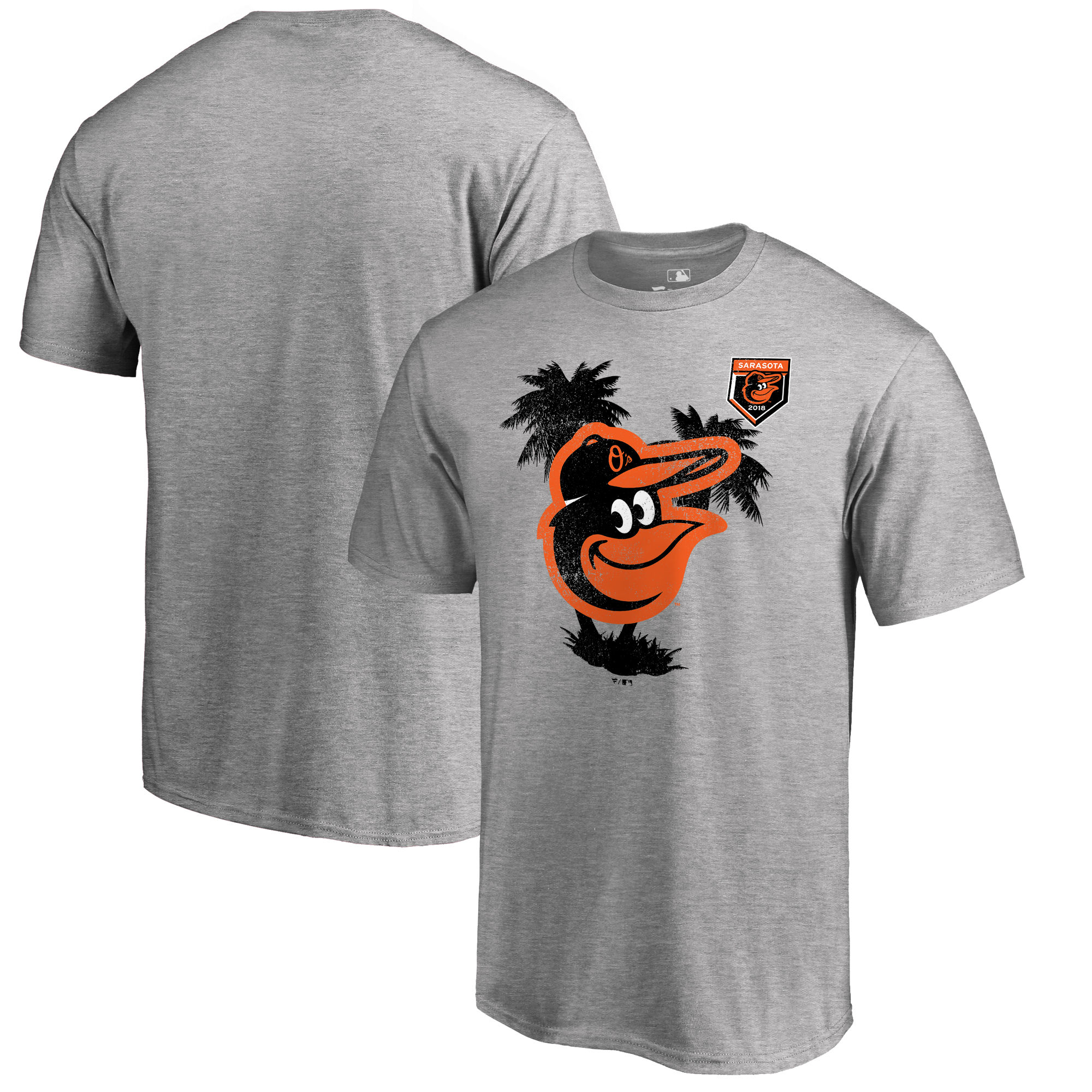 Men's Baltimore Orioles Fanatics Branded 2018 MLB Spring Training Vintage T-Shirt ?C Heather Gray